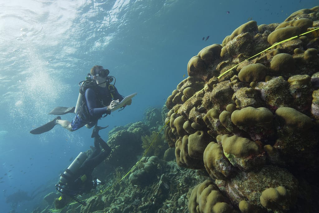 mapping marine ecosystems education