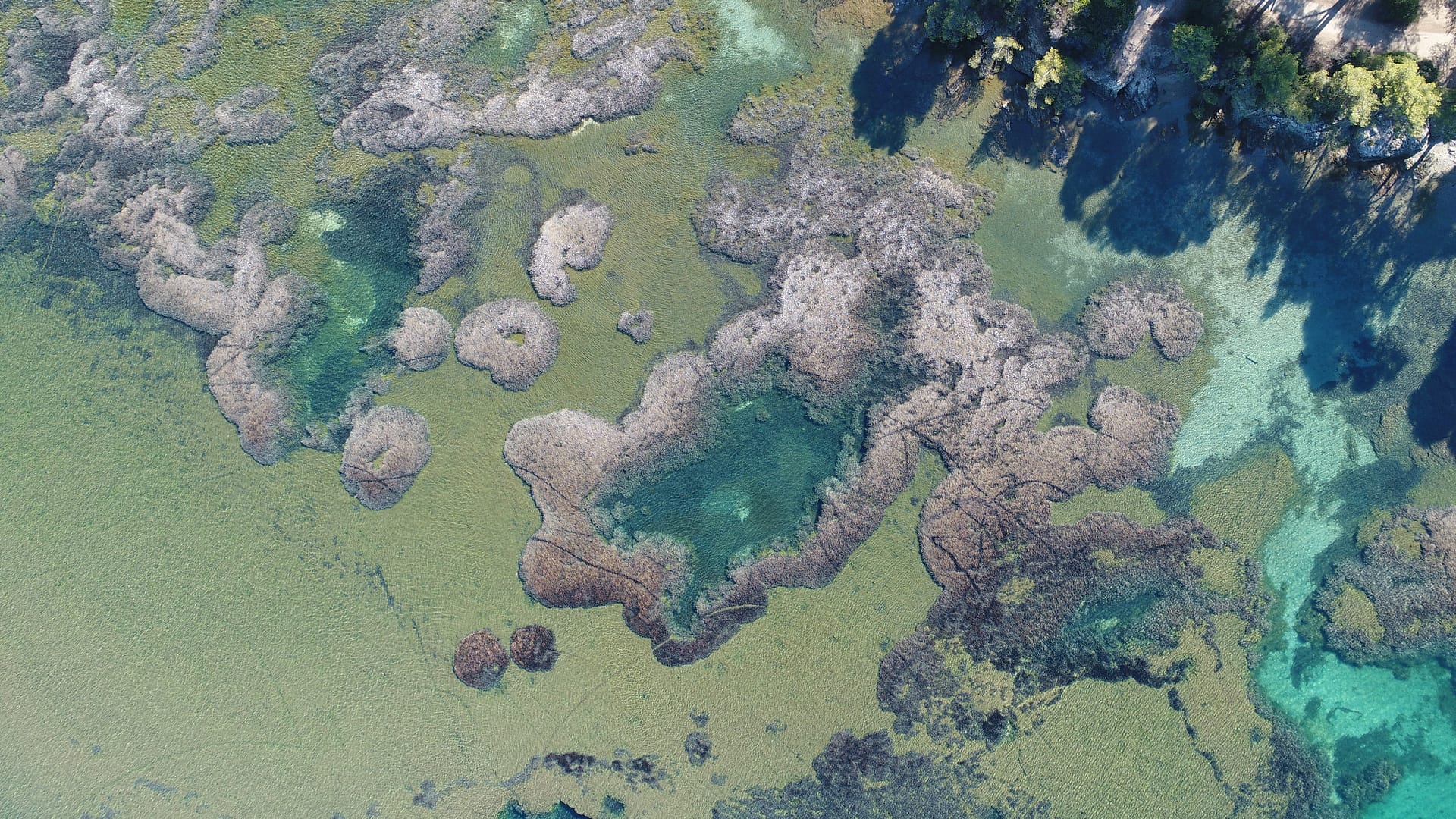 Monitoring a seagrass bed at a seascape level: Overcoming challenges with technology